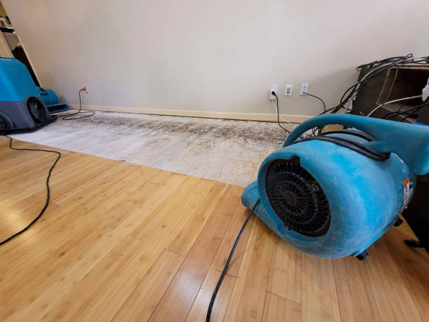 Professional Basement Flood Cleanup technician working in Treynor, IA